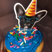 Dog Partying Cupcake